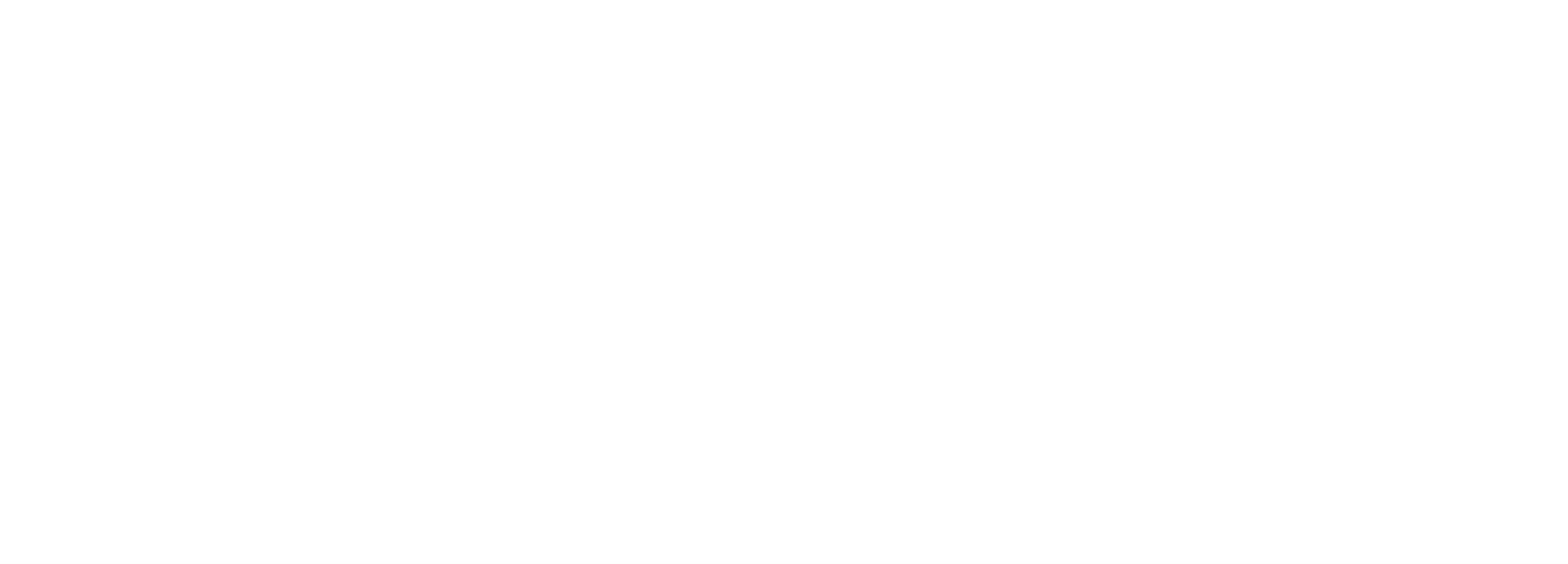 Bogner & Partners